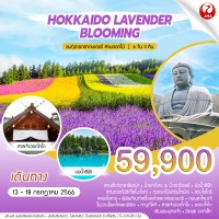 Hokkaido Lavender Blooming (6D3N)
